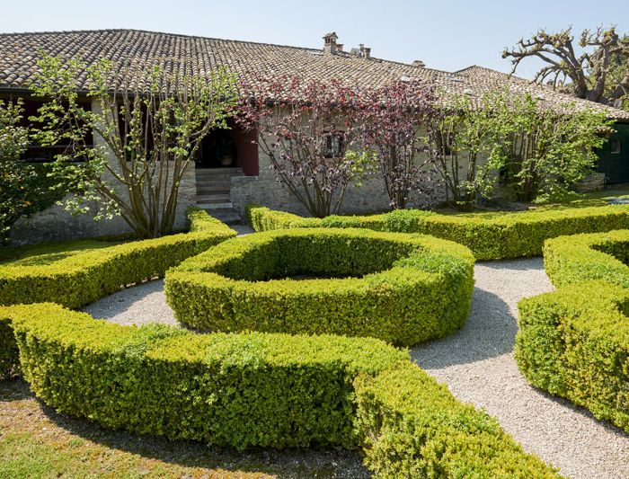 casa-archi-giardino-siepi